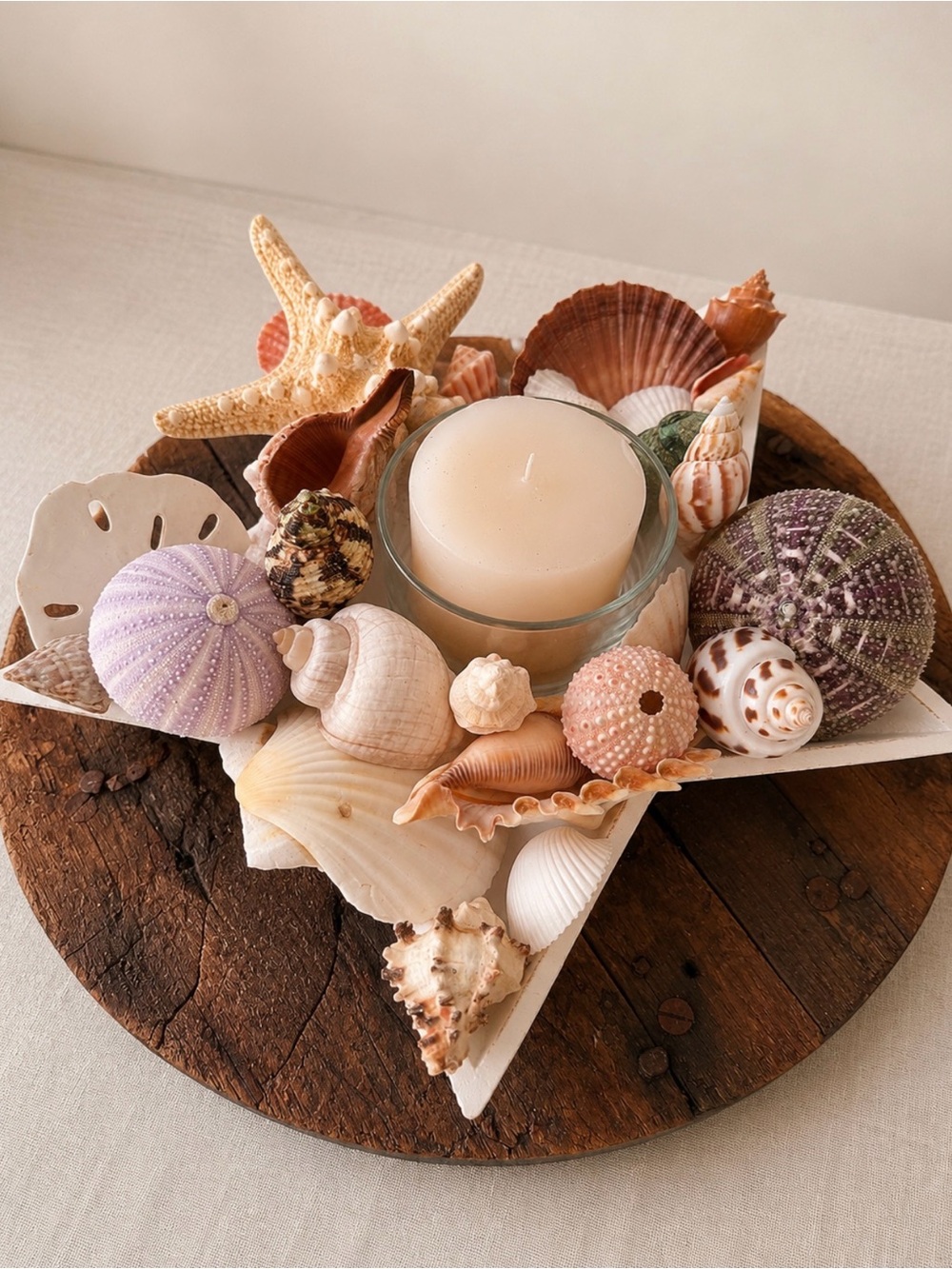 Coastal Seashell Candle Centerpiece in White Star - Picture 3 of 16